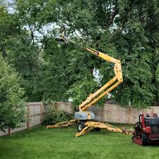 Lawn Irrigation Installation and Maintenance in St Ansgar, IA